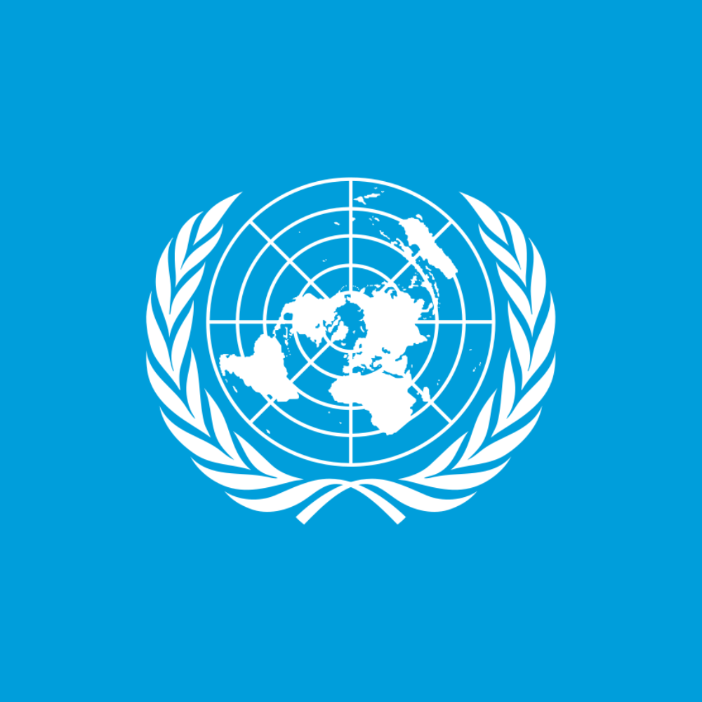 Bandeira do ONU